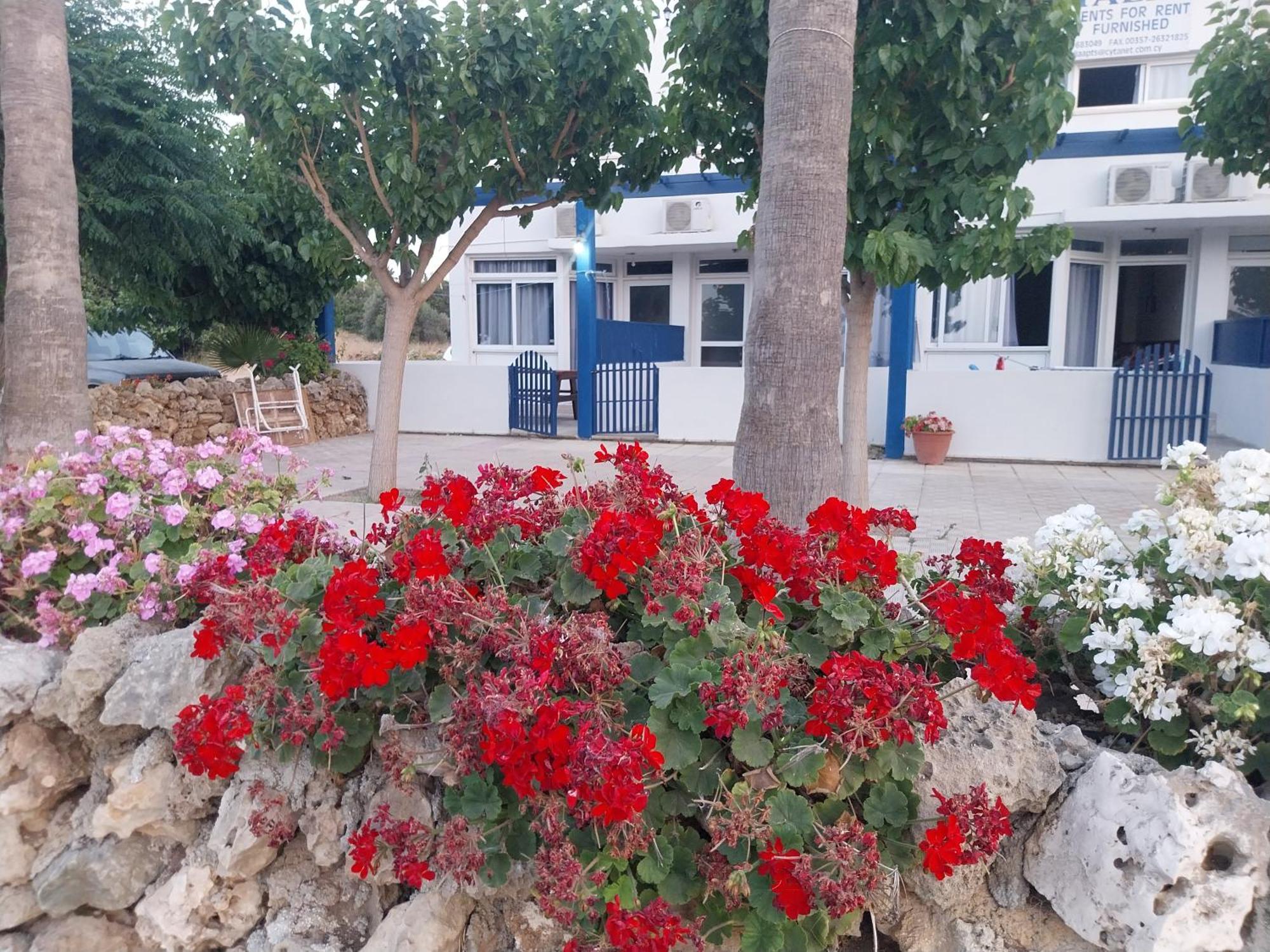 Amalia Apartments 폴리스 객실 사진